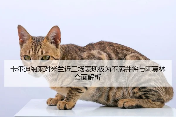 卡尔迪纳莱对米兰近三场表现极为不满并将与阿莫林会面解析